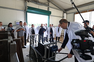 Лукашенко посетил хозяйство, где разводят красную породу коров