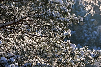 Зимний пейзаж
