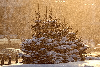 Солнечный январский день в Минске