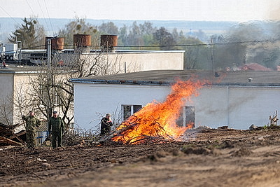 Молодой лес, обновленные улицы, цветники: Жировичи всем миром вышли на субботник
