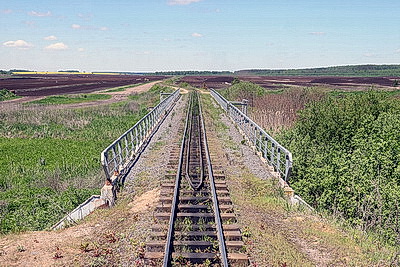 Романтика узкоколеек. Как увидеть старинные вагоны и разливы в Лидском районе