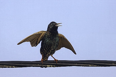 ФОТОХРОНИКА начинает новый информационный день