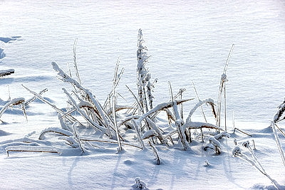 Ночью до -25..-30°С ожидается в Беларуси 15 января