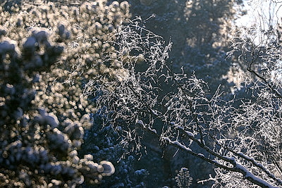 Зимний пейзаж