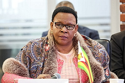 Парламентская делегация Зимбабве посетила ПВТ и ММВЦ