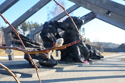 \"Это история и нашего края\". В Борках прошел митинг-реквием в День памяти трагедии в Хатыни