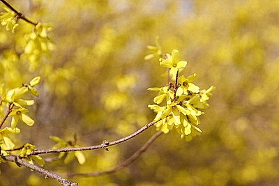 ФОТОХРОНИКА начинает новый информационный день