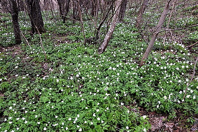 ФОТОХРОНИКА начинает новый информационный день