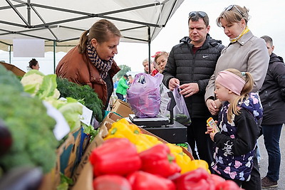 Волонтеры БРСМ помогают пенсионерам с доставкой продукции с сельхозярмарок