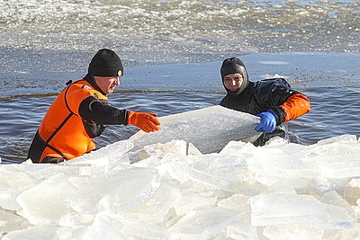 В Бресте расчищают полыньи для зимующих птиц
