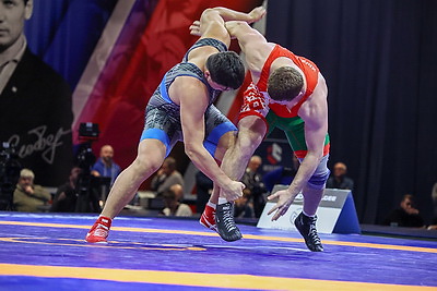 Турнир по вольной борьбе памяти Медведя прошел в Минске