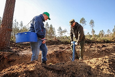 Навести порядок в общем доме. Вольфович об акции \"Лес! Дабро! Парадак!\"