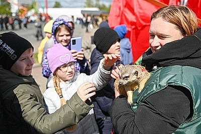 Выставки продукции и услуг белорусских предприятий организовали на международном форуме деловых контактов в Бресте