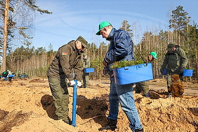 Навести порядок в общем доме. Вольфович об акции \"Лес! Дабро! Парадак!\"