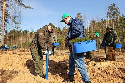 Навести порядок в общем доме. Вольфович об акции \"Лес! Дабро! Парадак!\"