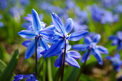 ФОТОХРОНИКА начинает новый информационный день