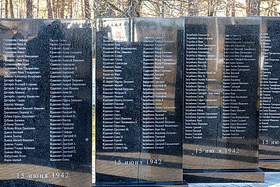 \"Это история и нашего края\". В Борках прошел митинг-реквием в День памяти трагедии в Хатыни