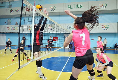 Фестиваль школьного спорта по волейболу и плаванию стартовал в Гомеле