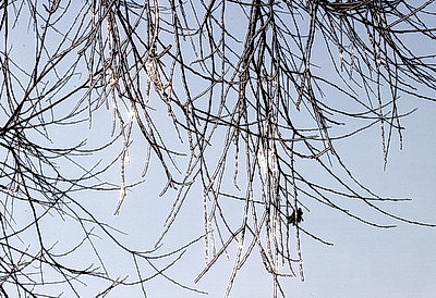 Морозный зимний день: снегопад не повод сидеть дома для активных жителей