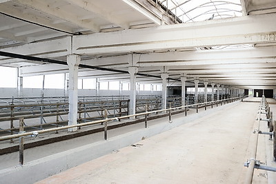 Кочанова ознакомилась с деятельностью ОАО \"Парохонское\"