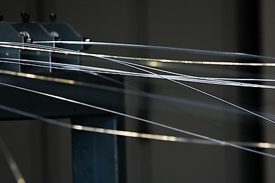 Что делают в Минской области для снижения количества ДТП с дикими животными