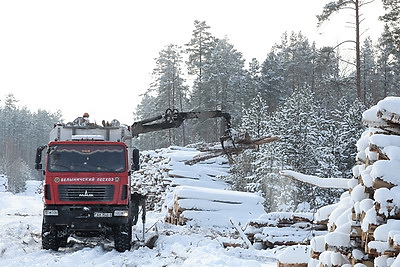 При разработке труднодоступных лесосек планируют заготовить около 600 тыс. куб.м древесины