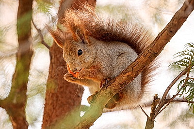 ФОТОХРОНИКА начинает новый информационный день