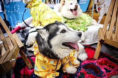 Старт нового сезона. Международная выставка-ярмарка \"Отдых-2026\" открылась в Минске