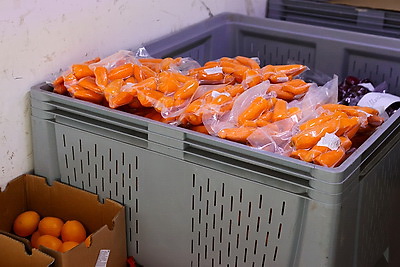 В стабфонды Минска уже заложили весь объем яблок и 40% картофеля