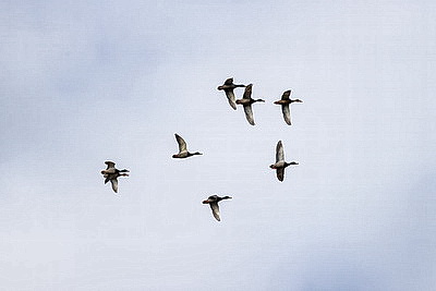 ФОТОХРОНИКА начинает новый информационный день