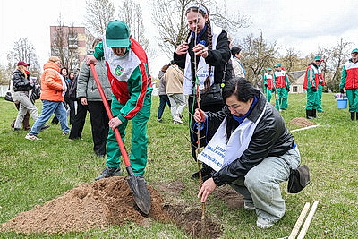 \"Символ мая, Победы, добра и плодородия\". В Беларуси проходит акция \"Яблоневый сад\"