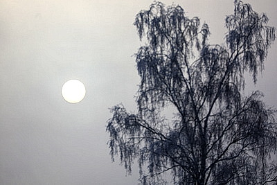 Зимний пейзаж