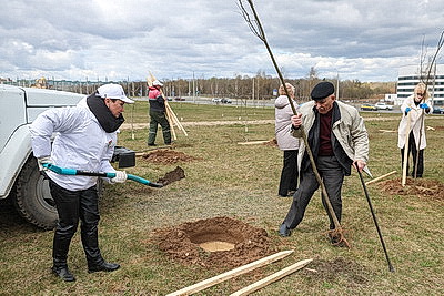 Аллею из 50 молодых лип высадили активисты-общественники в Гродно