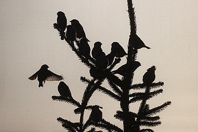 ФОТОХРОНИКА начинает новый информационный день