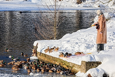 Зимний пейзаж