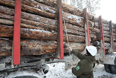 При разработке труднодоступных лесосек планируют заготовить около 600 тыс. куб.м древесины