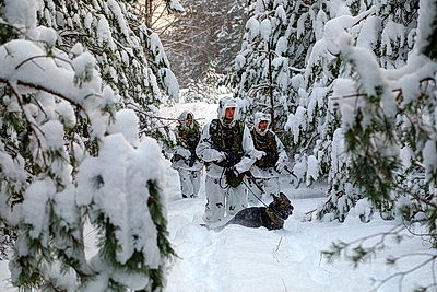 Пограничники несут службу по охране границы