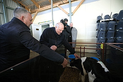 Лукашенко ознакомился с развитием мясного скотоводства и молочной отрасли