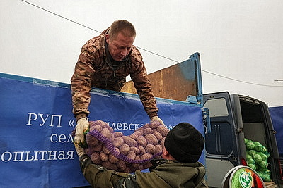 Овощи прямо с грядки. В Могилеве прошла большая сельхозярмарка
