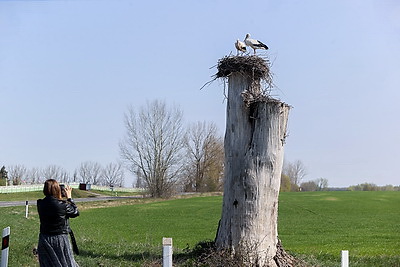ФОТОХРОНИКА начинает новый информационный день