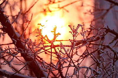 ФОТОХРОНИКА начинает новый информационный день