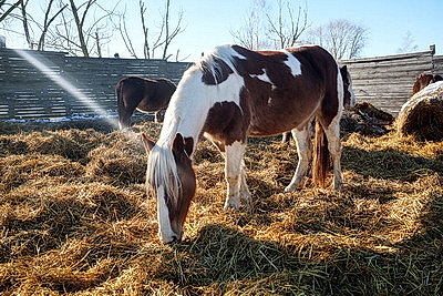 ФОТОХРОНИКА начинает новый информационный день