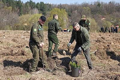 Молодой лес, обновленные улицы, цветники: Жировичи всем миром вышли на субботник