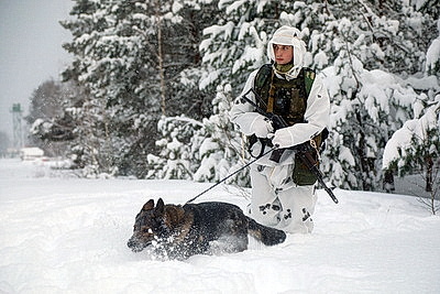 Пограничники несут службу по охране границы