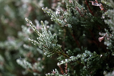 Стеклянный дождь в Гродно