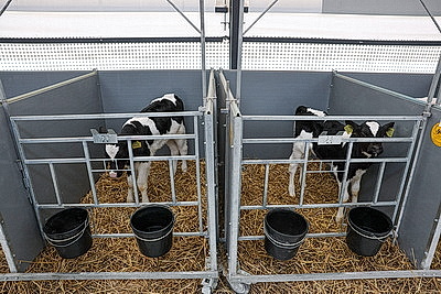 Лукашенко совершил рабочую поездку в Петриковский район