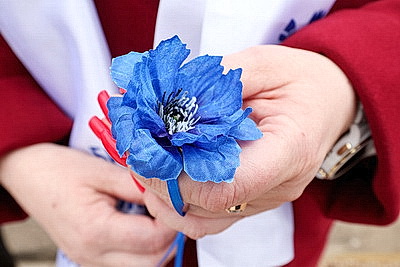 \"Символ мая, Победы, добра и плодородия\". В Беларуси проходит акция \"Яблоневый сад\"