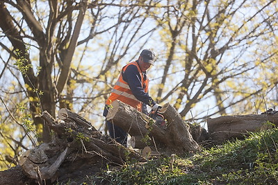 Республиканский субботник: брестчане трудились на территории Брестской крепости