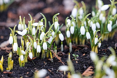 ФОТОХРОНИКА начинает новый информационный день