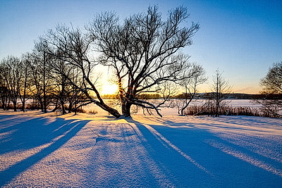 Зимний пейзаж